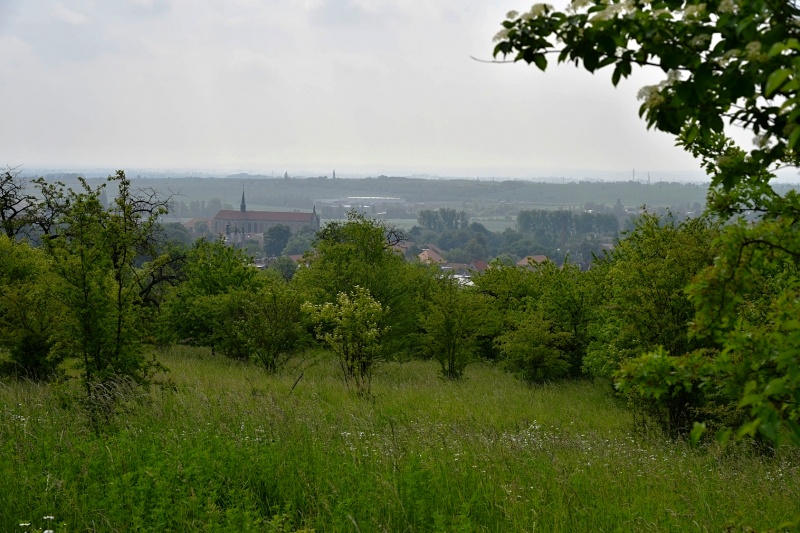 Kutná Hora 2018 - Kaňk